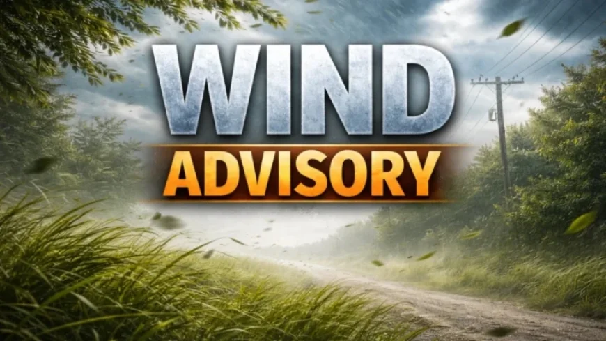 Strong Winds to Sweep Wiregrass Region on Sunday
