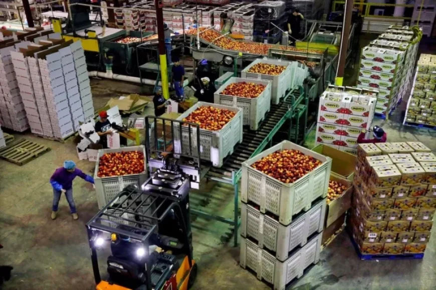 U.S. Producer Prices See Largest December Increase in Five Months