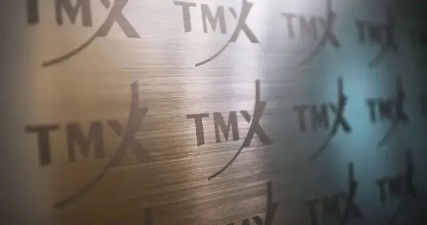 Toronto Stock Exchange Dives Amid Major Precious Metals Sell-Off