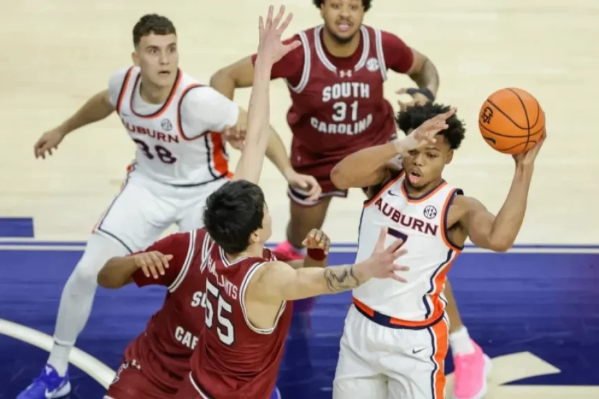 Top 10 Best Current Transfers Ranked: Portal Report