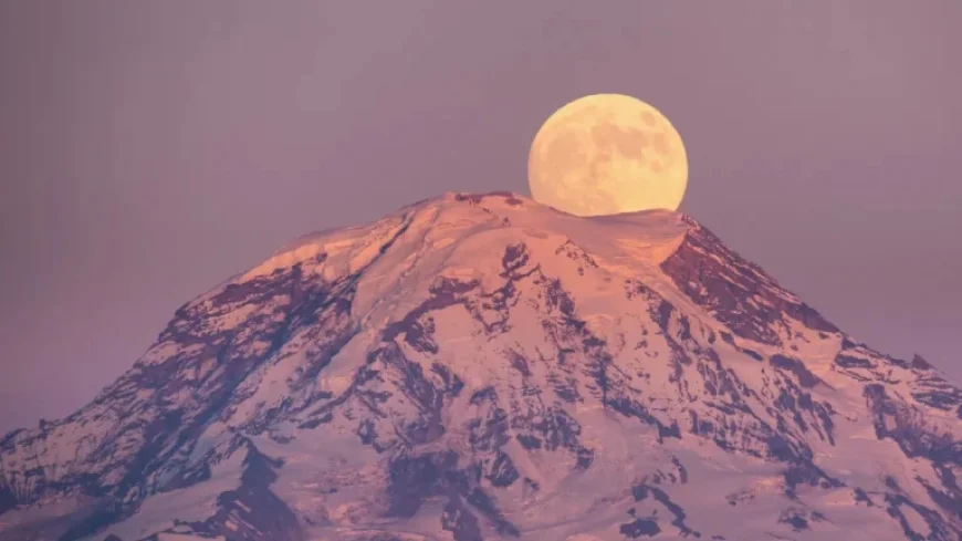 February’s Full Snow Moon Promises Transformation for These Four Star Signs