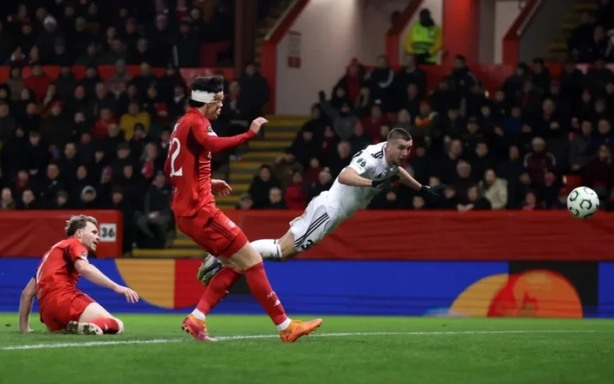 Celtic Initiates Talks to Sign Forward Nardin Mulahusejnovic