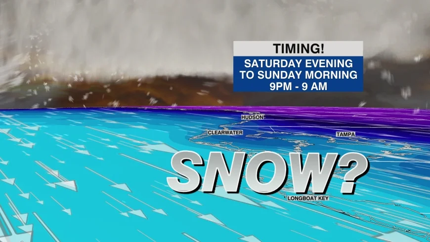 Tampa Weather, Orlando Weather, and Florida Weather: Freeze Warning Concerns Rise as a Cold Snap Targets the Sunshine State