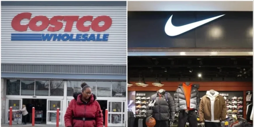 Nike Collaborates with Costco for Kirkland Signature Dunk Lows Release