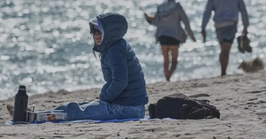 Florida Prepares for Frost and Snow Amid U.S. Winter Storm Impact