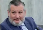 Sen. Ted Cruz Launches 2026 Texas Senate Bid, Directs Donations to Campaign