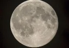 Best Ways to View Tonight’s Snow Moon