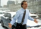 Bill Murray Bitten by Groundhog From ‘Groundhog Day’ Movie?