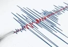 Earthquake Hits Near Tonga