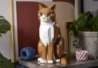LEGO 21376 Orange Cat Set Recolors Tuxedo Cat for March 2026 Release