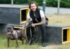 Pete Wicks’ “For Dogs’ Sake” Premieres on U&W HD: Schedule and Details