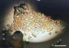 Arc Raiders Glitch Spurs Hoarders Amassing Hundreds of Squeaky Bath Toys