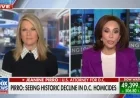 Jeanine Pirro Vows to Jail Gun Carriers in Washington, D.C.