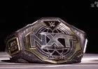 WWE NXT: New Champion Emerges Victorious in Thrilling Ladder Match