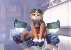 Fika the Jetpack Cat Joins Overwatch: Abilities and Details Revealed