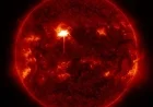 Powerful Solar Flare Erupts from the Sun