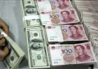 February 5: USD and CNY Exchange Rates Trend Downward