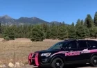 Active Shooter Reported in Flagstaff’s Railroad Springs Area: Initial Details