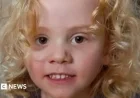 Australian Outback: Major Crime Declared in Four-Year-Old’s Disappearance