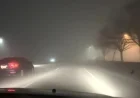 CHP, Driving Instructors Offer Essential Safety Tips for Dense Fog Navigation