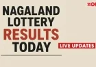 Nagaland Lottery Results Live Today: February 6, 2026, 1 PM, 6 PM, 8 PM