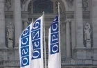 Georgian Leaders Condemn OSCE Moscow Mechanism, Heighten Tensions with Sweden, West
