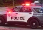 Police Respond to Shooting Reports at Woodbine Shopping Centre