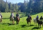 Ain President Rides Horse, Highlights Equestrian Tourism’s Regional Value