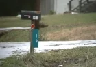 Durham Residents Frustrated by USPS Winter Delays in Mail Delivery