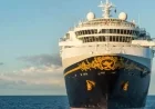 Disney Cruise Line Sets Sail for the Dominican Republic