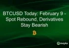 BTCUSD Spot Rebounds Today, Derivatives Maintain Bearish Outlook