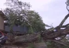 Severe Weekend Storm Causes Damage Across Oahu