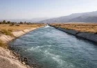 Kyrgyz MP Challenges Uzbekistan, Kazakhstan on Irrigation Water Payments