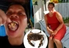 Food Influencer Dies After Eating Toxic Devil Crab for Social Media Fame