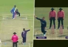 Namibia’s Usman Tariq Fans Compare Gerhard Erasmus’ Bowling to Pakistan Spinner