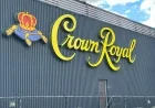 Diageo and Ontario Secure Crown Royal’s LCBO Availability, Plant Closure Still Looms