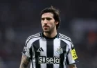 Respect Grows for Sandro Tonali’s Impact at Newcastle United