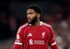 Joe Gomez Injury Status Revealed