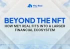 Mey Real Unveils Real Estate-Backed NFT Platform in Digital Asset Expansion
