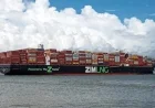 Zim Board Approves $4.2 Billion Sale to Hapag-Lloyd, FIMI