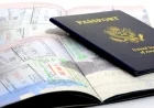 State Department Halts Passport Processing at Nonprofit Libraries