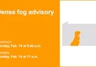 Dense Fog Advisory in Southern Pa.: Visibility Down to 1/4 Mile Until Midday