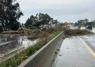 Highway 101 South Reopens at Fairview Avenue After Monday’s Tree Fall
