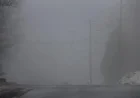 Fog to Reduce Visibility to Near Zero Tonight and Overnight