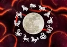 Discover Your Chinese Zodiac: What It Reveals About You This New Year