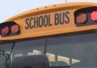 Dense Fog Halts Rural Bus Routes Tuesday Morning