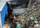 Gaza’s Displaced Endure Rat-Infested Conditions