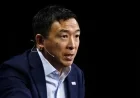 Andrew Yang Warns of Imminent Mass Layoffs