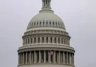 Police Arrest Armed Man in Tactical Vest Outside U.S. Capitol