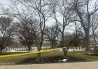 Teen Detained with Loaded Shotgun Near U.S. Capitol
